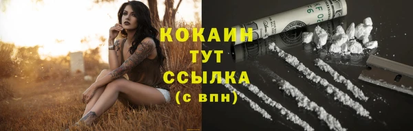 дживик Бородино