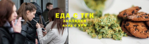 дживик Бородино