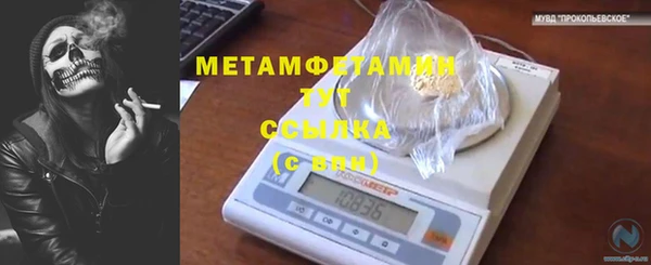 дживик Бородино