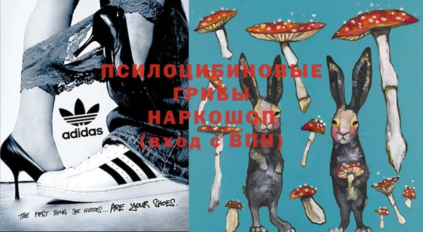 дживик Бородино