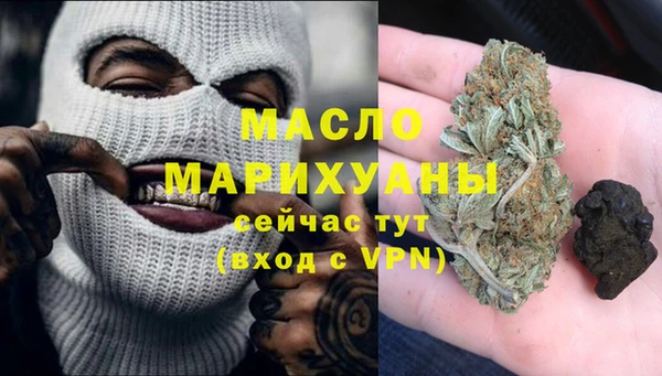 дживик Бородино